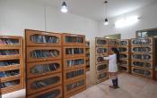 Coorg Institute of Dental Sciences Library