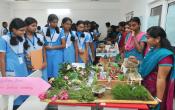 RIM - Rathinam Institute of Management Exhibitions RIM - Rathinam Institute of Management Exhibitions