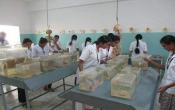 J.K.K Nattraja Dental College and Hospital Labs