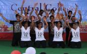 Central College of Information Technology, Raipur Fest
