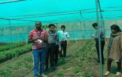 School of Rural Management, Ratlam Industrial Visit