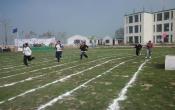 Saffron College for Girls Sports Facility Saffron College for Girls Sports Facility