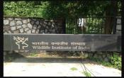 Wildlife Institute of India Entrance