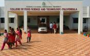 College of Food Science and Technology, Pulivendula, Acharya N.G. Ranga Agricultural University Campus Building College of Food Science and Technology, Pulivendula, Acharya N.G. Ranga Agricultural University Campus Building