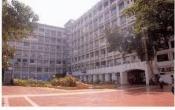 SVKM's Institute of International Studies, Mumbai Others