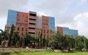 D.Y. Patil University School of Education Others