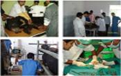 Apollo College of Veterinary Medicine - Rajasthan Others Apollo College of Veterinary Medicine - Rajasthan Others