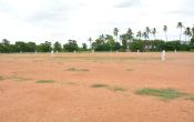 Thiru.A.Govindasamy Government Arts College Playground