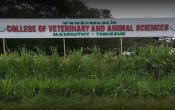 College of Veterinary and Animal Sciences,Mannuthy-KVASU Entrance