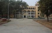 Picasso Animation College, Noida Others