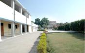 Dayanand Academy of Management Studies (DAMS) Others