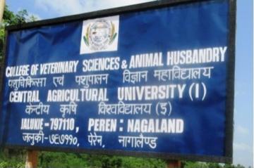 College of Veterinary Sciences and Animal Husbandry, Central Agricultural  University, Nagaland: Admissions 2023-24, Fee-Structure, Scholarships,  Programs, Ranking