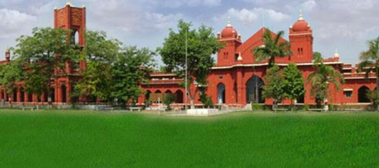 Bareilly College