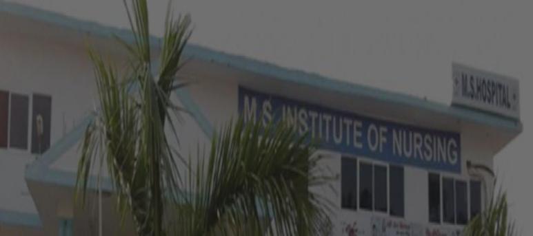 MS Institute of Nursing