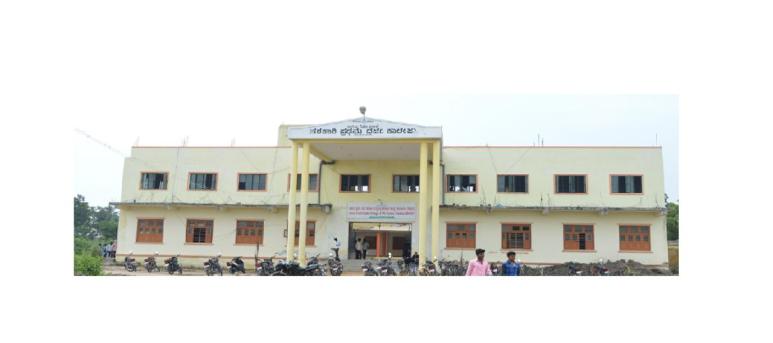 Government First Grade College, Raichur