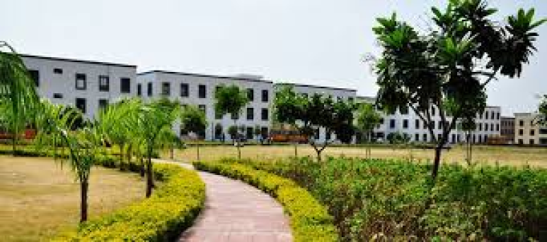 Rkdf University