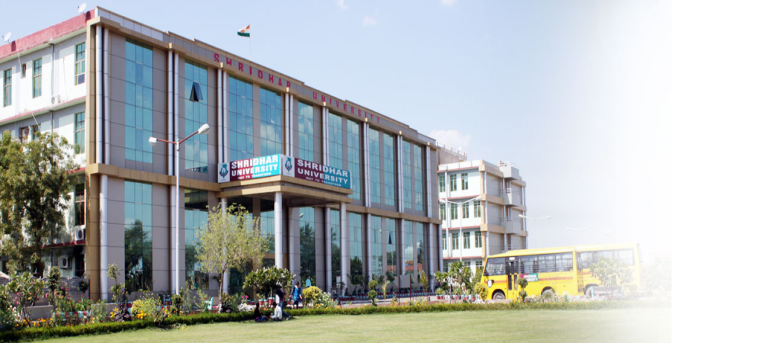 Shridhar University