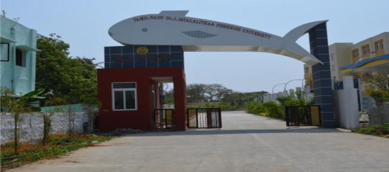 Institute of Fisheries Biotechnology, TNJFU-OMR Campus