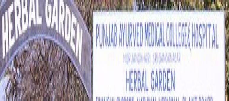 Punjab Ayurved Medical College and Hospital