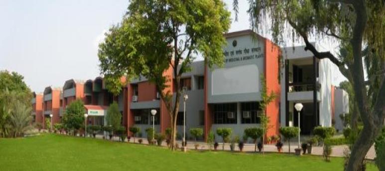 Central Institute of Medicinal and Aromatics Plants, Uttar Pradesh