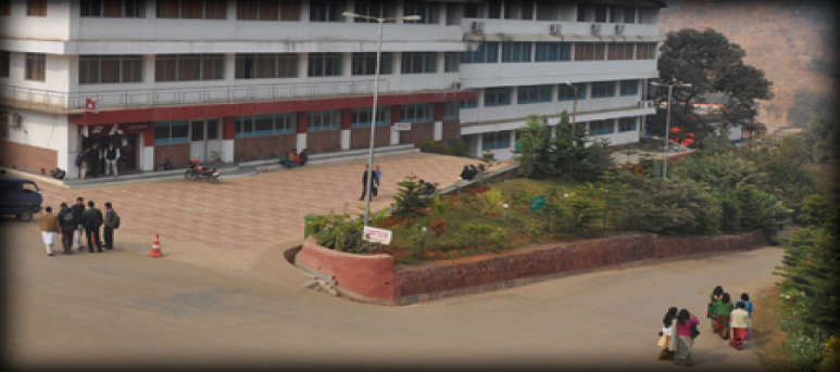 Regional Institute of Science and Technology