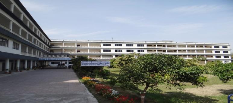 Dr. Rizvi College of Engineering