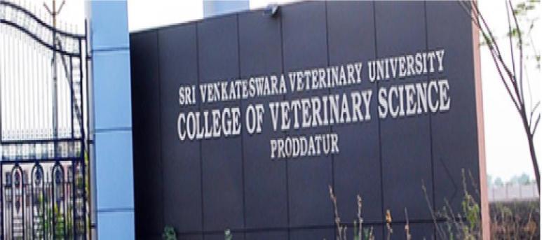 College of Veterinary Science, Proddatur - Sri Venkateswara Veterinary University