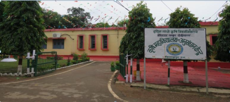 Barrister Thakur Chhedilal College of Agriculture and Research Station