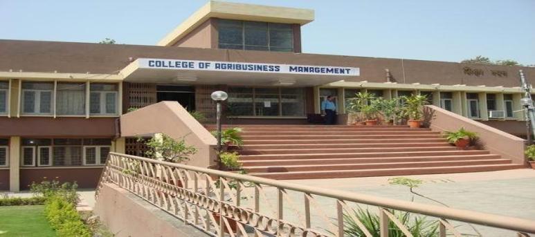 College of Agribusiness Management