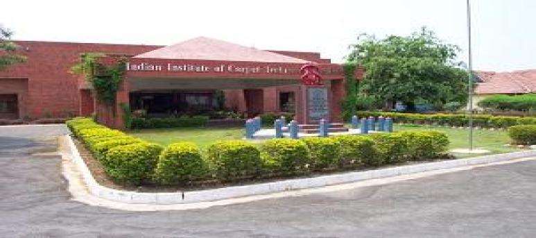 Indian Institute of Carpet Technology