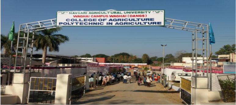 College of Agriculture- Waghai, Navsari Agricultural University