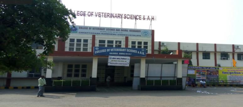 College of Veterinary Science and Animal Husbandry - Durg, Chhattisgarh Kamdhenu Vishwavidyalaya