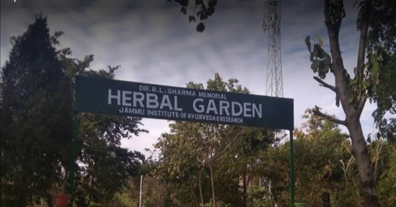 Medical Admissions 202324 Jammu Institute of Ayurveda and Research