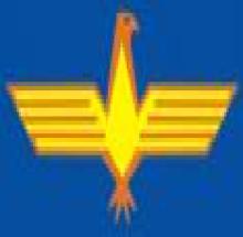 The Gujarat Flying Club logo