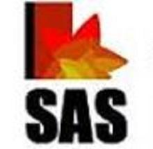 SAS Institute Of Management Studies logo