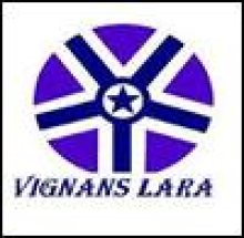 Vignans Lara Institute of Technology and Science logo