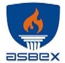 Agni School of Business Excellence logo