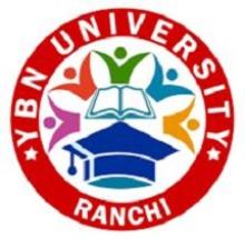 YBN University logo