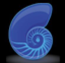 Blue Shell Security kochi logo