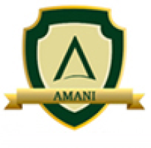 Amani Group of Institutions logo