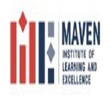 Maven Institute of Learning and Excellence logo