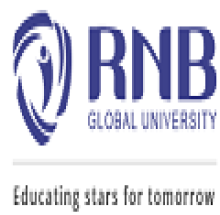 RNB Global University logo