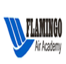 Flamingo Air Academy logo