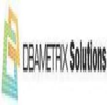 DBAMETRIX Solutions logo