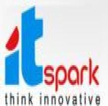 IT Spark logo