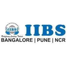 International Institute of Business Studies, International Airport logo