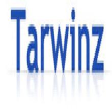 Tarwinz Niche Technologies Vision logo