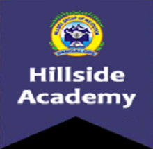 Hillside Group of Institutions logo