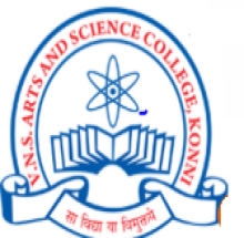 V.N.S College logo