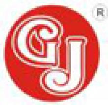 GJ The Fashion Designing Institute logo